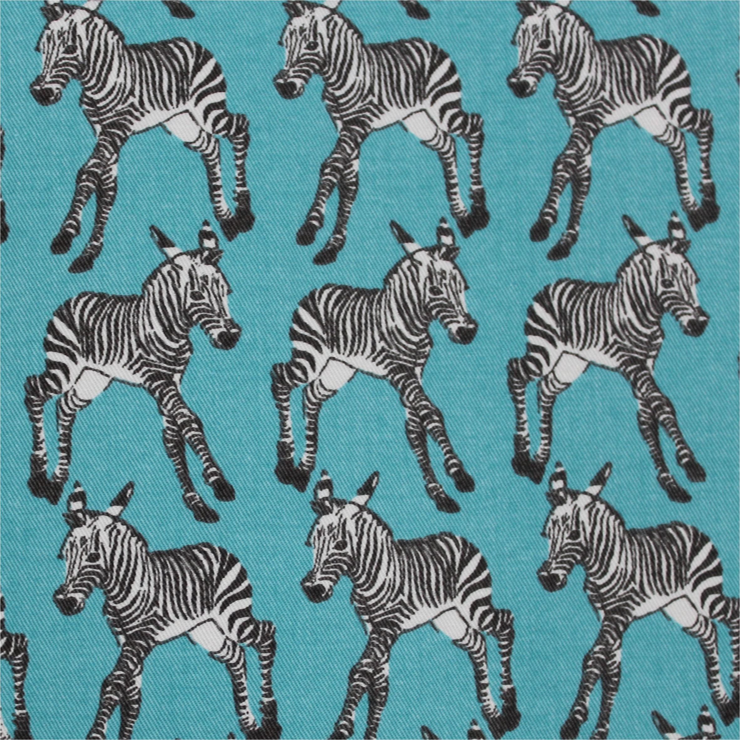 Zebra Turquoise Safari Animal Novelty Fabric