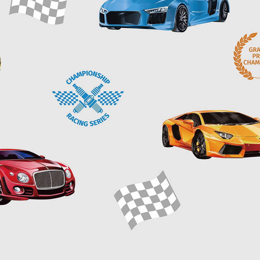 Grand Prix Racing Cars 8909