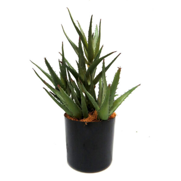 Faux Aloe Plant