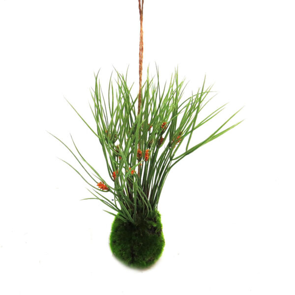 Hanging Gypsophilia Flowers