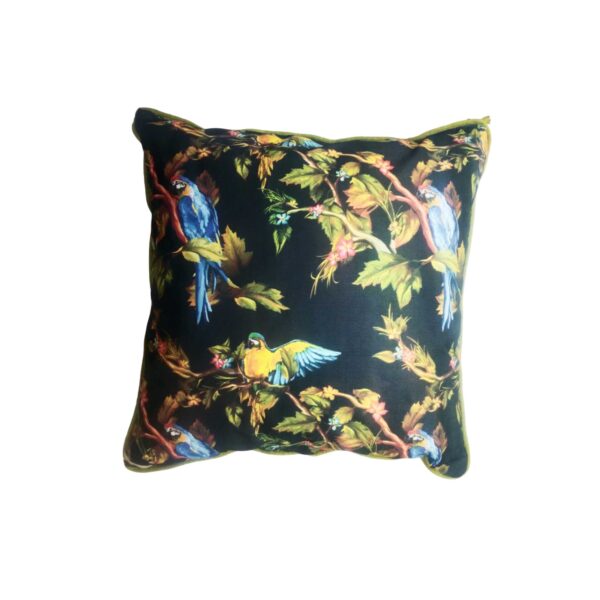 Parrot With Black Background Scatter Cushion - 60 X 60Cm